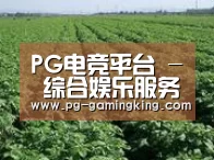 种植基地五(图1)