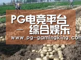 种植基地七(图1)