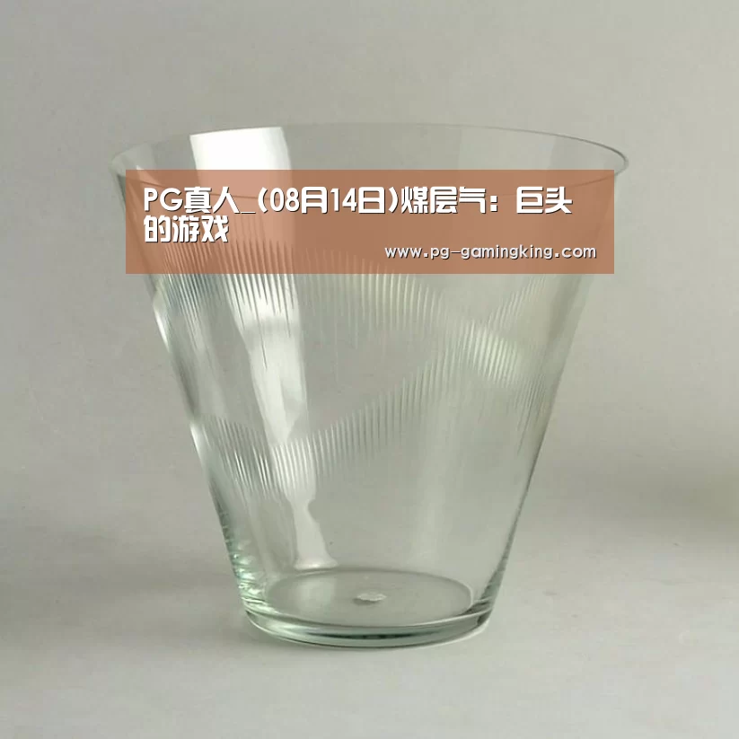 PG真人_(08月14日)煤层气:巨头的游戏(图3) PG赛事
