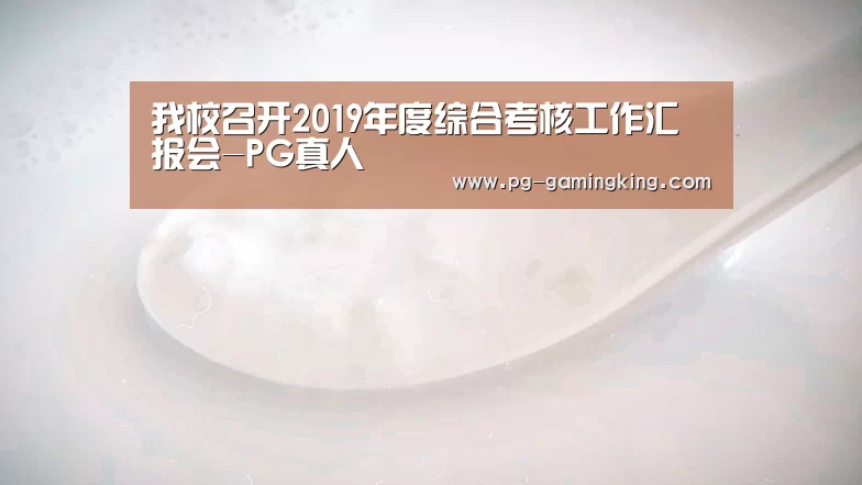 我校召开2019年度综合考核工作汇报会-PG真人(图4) PG真人