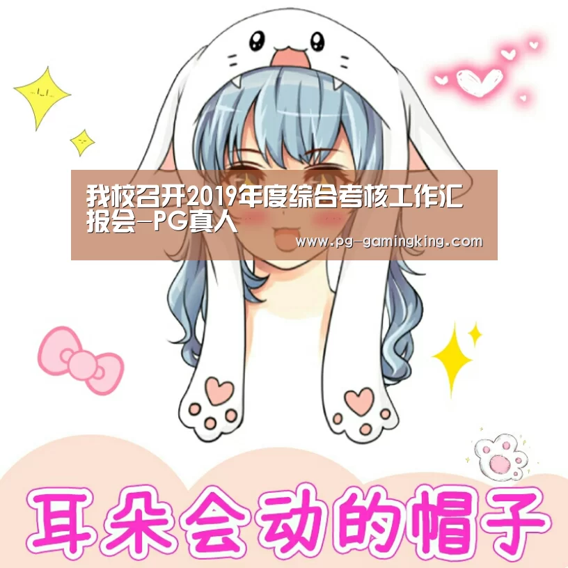我校召开2019年度综合考核工作汇报会-PG真人(图2) 我校召开2019年度综合考核工作汇报会-PG真人(图2)