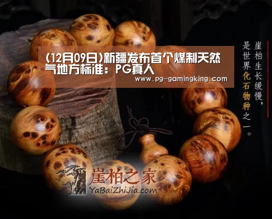 (12月09日)新疆发布首个煤制天然气地方标准:PG真人(图2) PG电竞