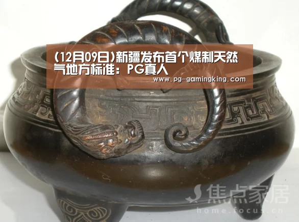 (12月09日)新疆发布首个煤制天然气地方标准:PG真人(图1) PG电竞