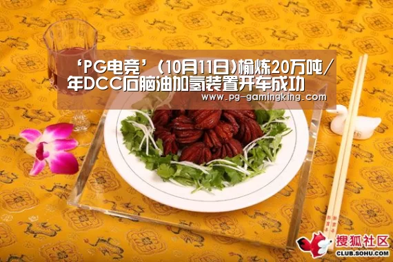 ‘PG电竞’(10月11日)榆炼20万吨/年DCC石脑油加氢装置开车成功(图3) PG电竞