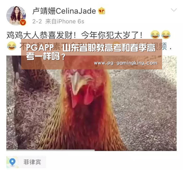 PGAPP_
山东省职教高考和春季高考一样吗?(图1) PG真人
