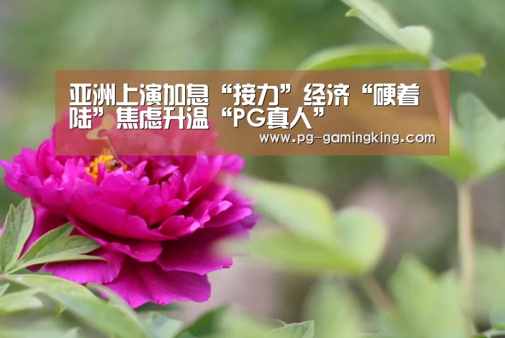 亚洲上演加息“接力”经济“硬着陆”焦虑升温“PG真人”(图3) PG真人