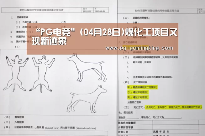 “PG电竞”(04月28日)煤化工项目又现新迹象(图2) PG赛事