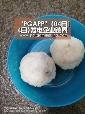 ‘PGAPP’(04月14日)发电企业跨界发展煤化工渐趋理性(图2) PG电竞
