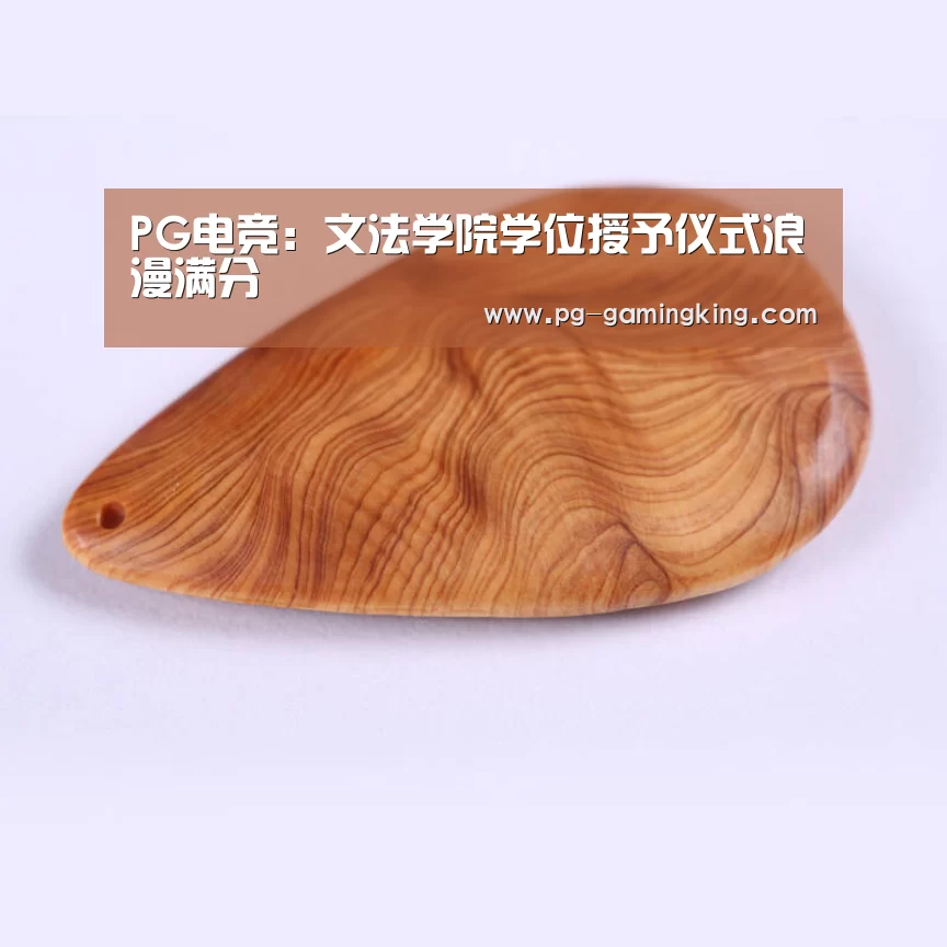PG电竞:文法学院学位授予仪式浪漫满分(图4) PG电竞
