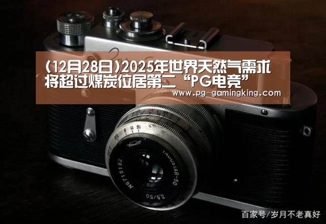 (12月28日)2025年世界天然气需求将超过煤炭位居第二“PG电竞”(图1) (12月28日)2025年世界天然气需求将超过煤炭位居第二“PG电竞”(图1)