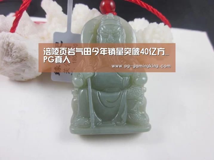 涪陵页岩气田今年销量突破40亿方_PG真人(图1) PG真人