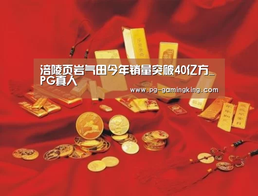涪陵页岩气田今年销量突破40亿方_PG真人(图2) PG电竞