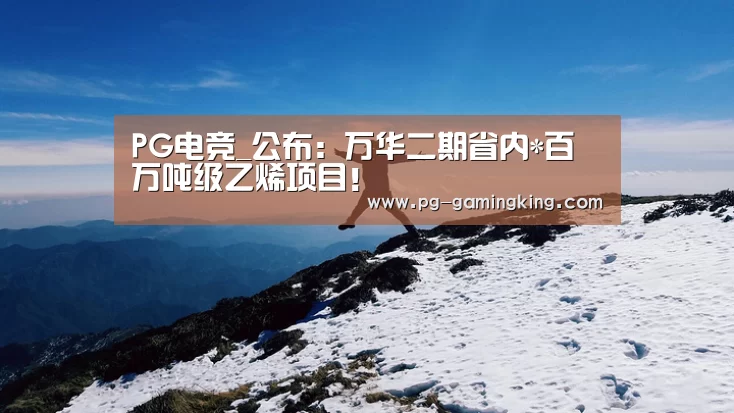 PG电竞